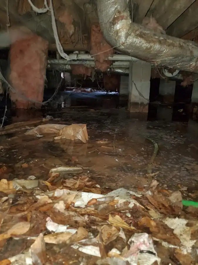 Crawl space flood assessment for Commercial Water Damage Restoration in New Haven